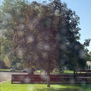 Meet your Posher, Hunter